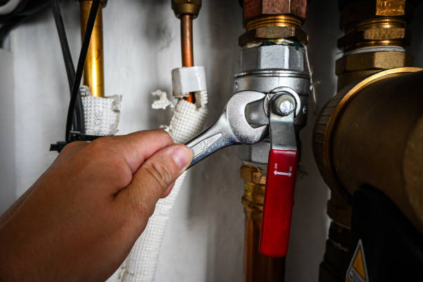 Best Plumbing Services Near Me  in Wild Peach Village, TX